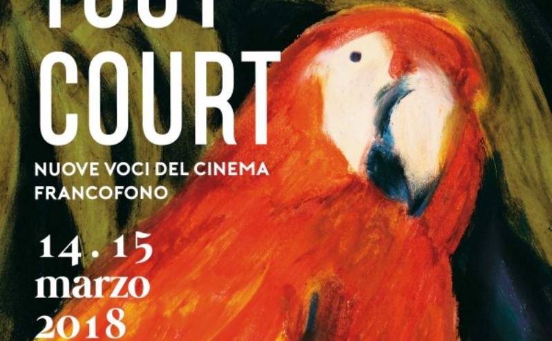 TOUT COURT  - New Voices in francophone cinema