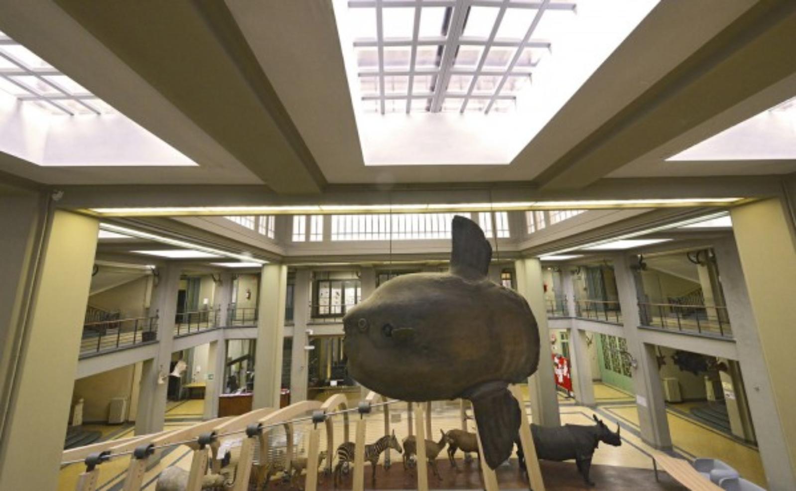 Collezione di Zoologia Bologna Collezione di Zoologia Bologna