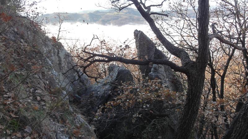 Scoprire e raccogliere le erbe spontanee