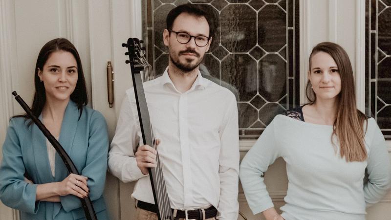 Stelle Nemiche | Palazzo Pepoli