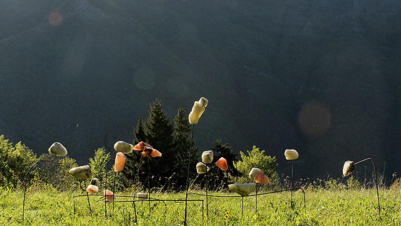 Marcello Tedesco,Il giardino delle idee cristallizzate, 2024