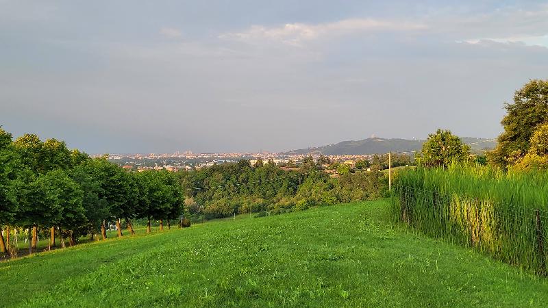 Manaresi