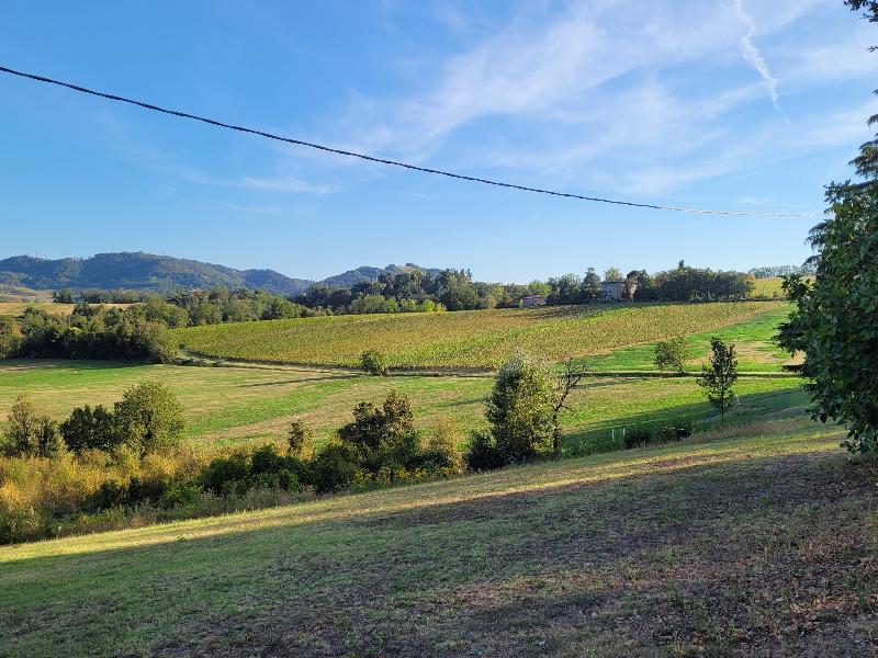 Manaresi