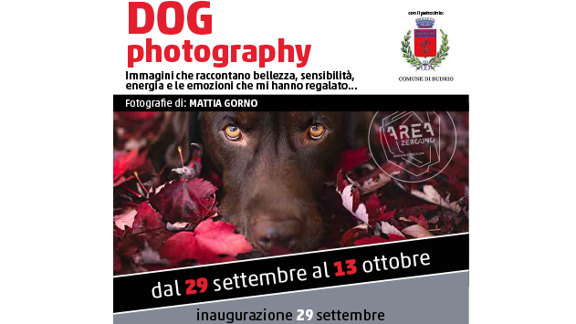 Locandina DOG PHOTOGRAPHY - NIBEL’S FRIENDS