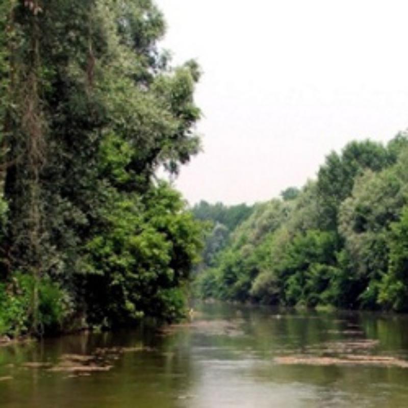 Bisana - Ecological Readjustment Area