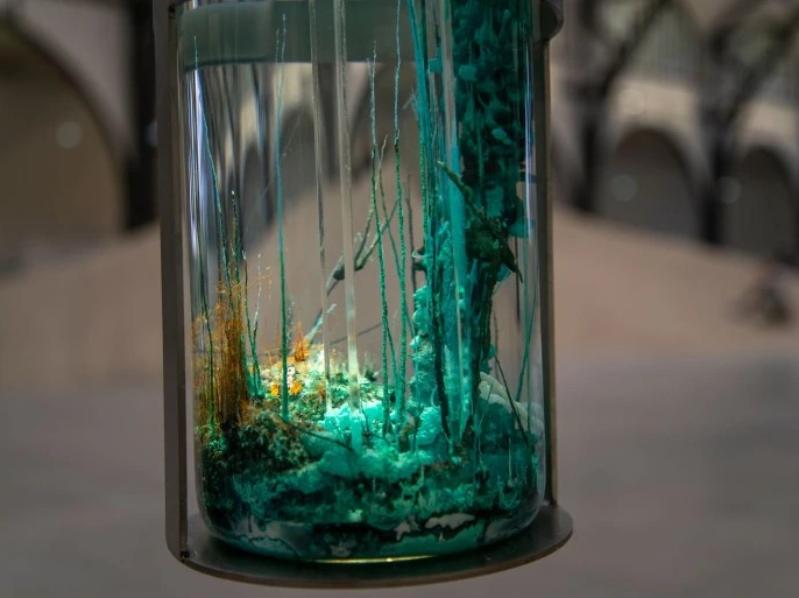 Alexandra Pirici. Rejoin