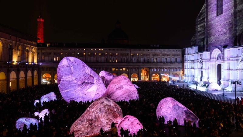 Iwagumi | Dismisura by ENESS