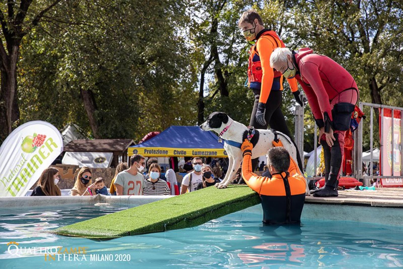 Quattro zampe in fiera Bologna