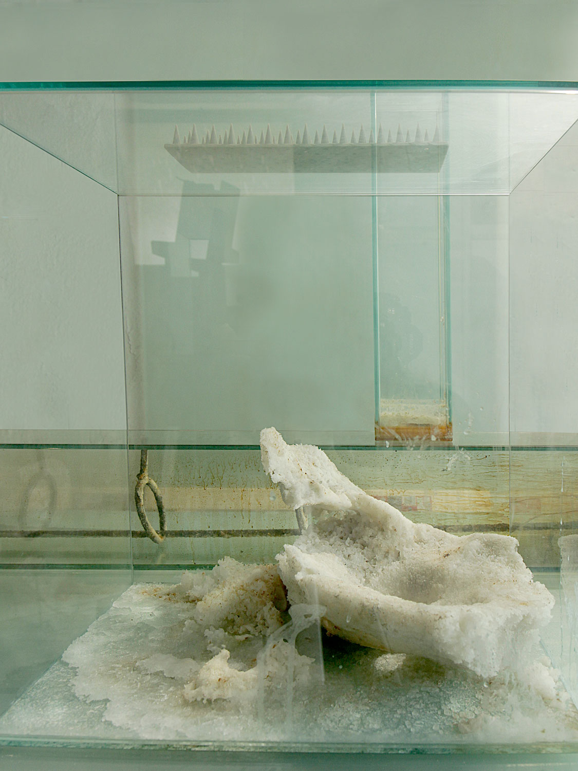 Marcello Tedesco, Deminarilzated, 2016-2024, dettaglio in teche di cristallo