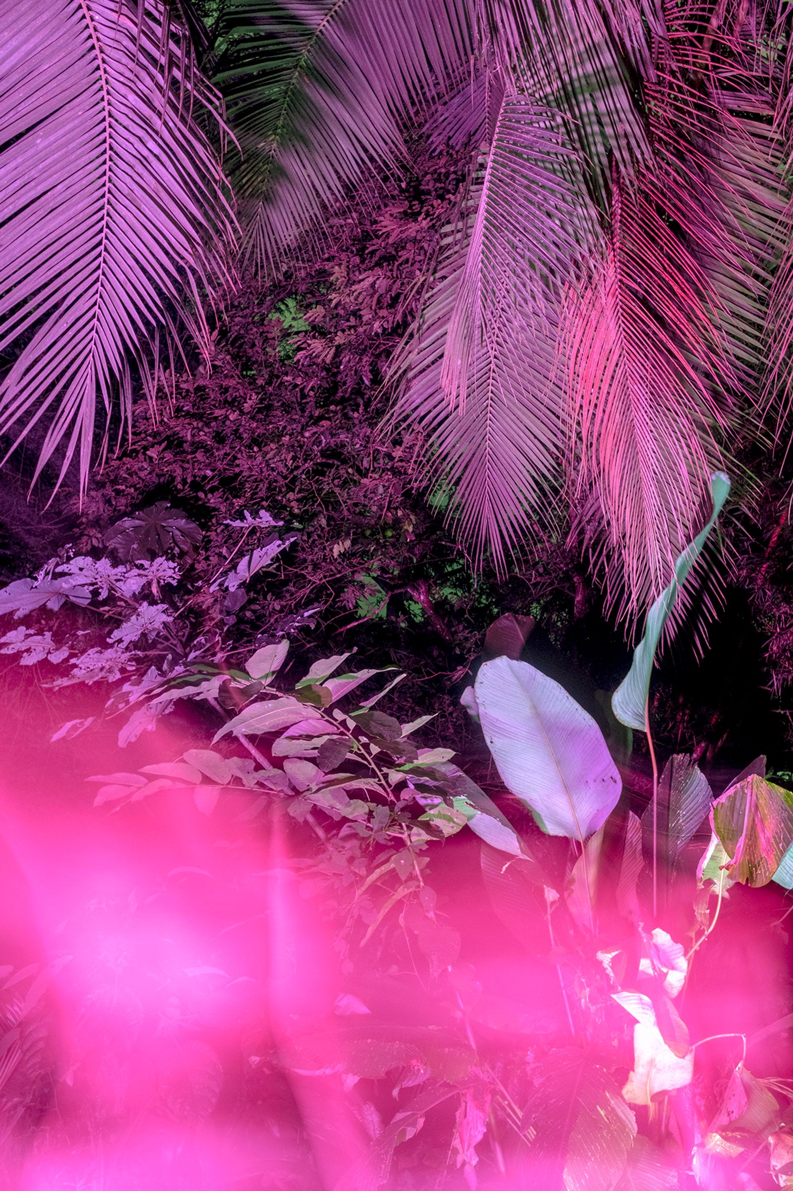 PhMuseum Days 2022 Bologna