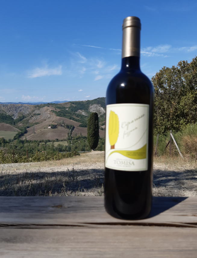 TOMISA winery - Bologna Welcome