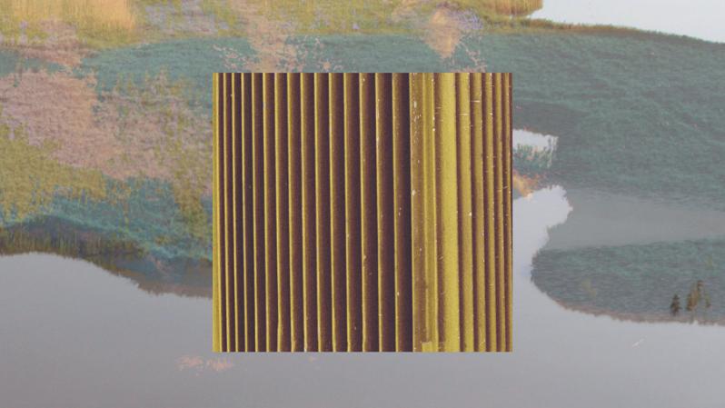 Occhio! Sguardi sul territorio Evolution