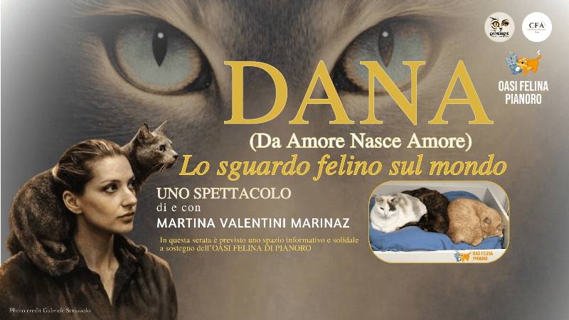 DANA: Lo sguardo felino sul mondo