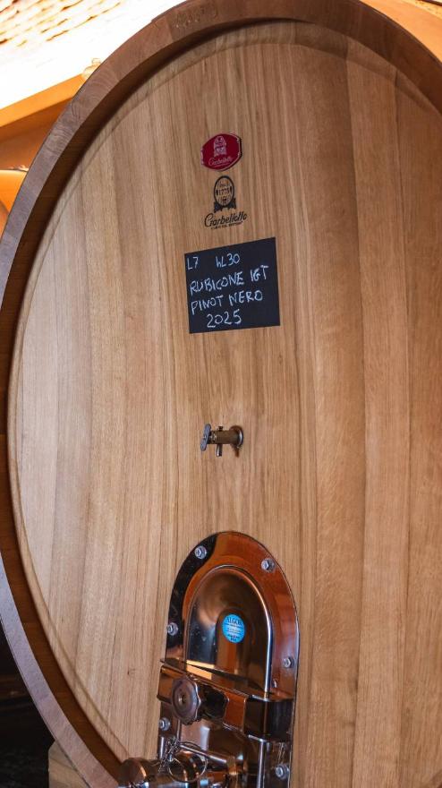 Botti di vino