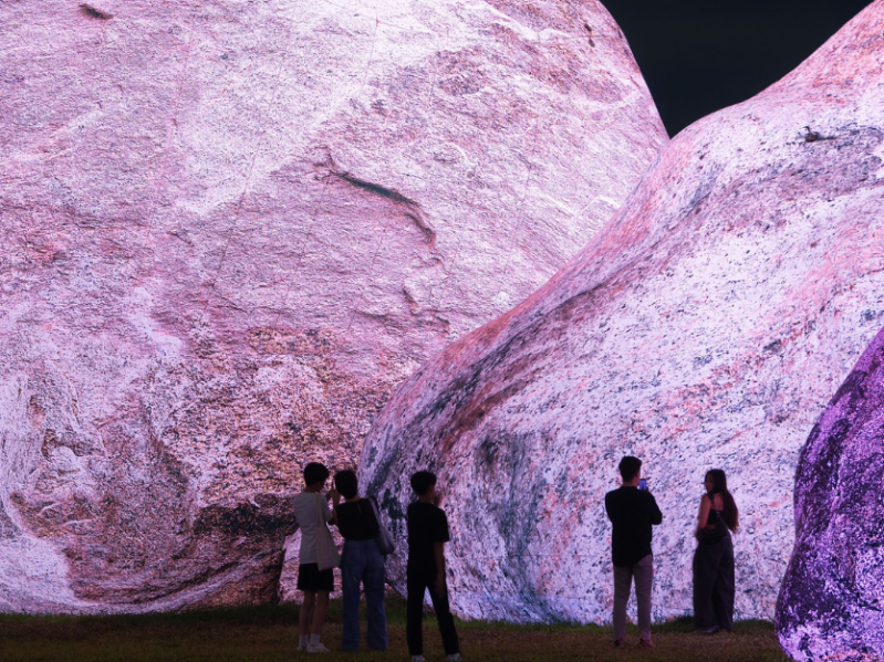 Iwagumi - ph. Finbarr Fallon