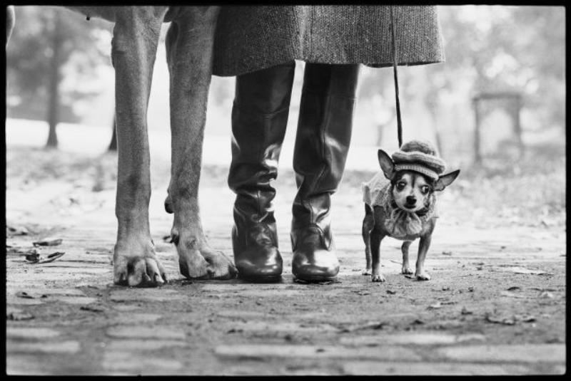 Elliott Erwitt. L'arte di osservare