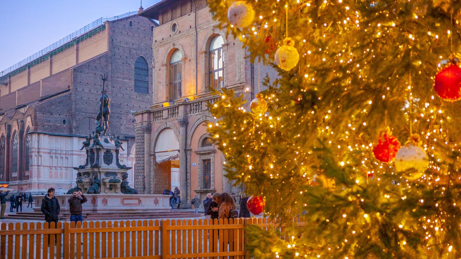 Natale Albero Piazza del Nettuno 2019 ©Pietrobondi