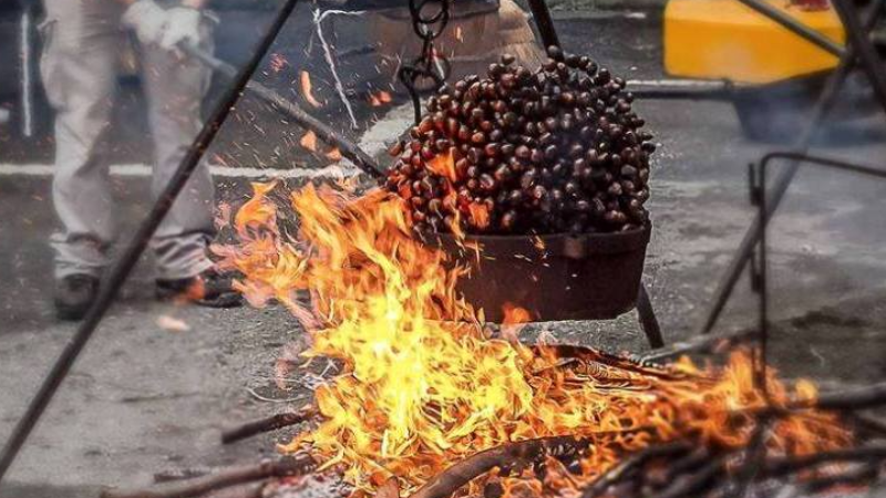 Castel del Rio Chestnut festival