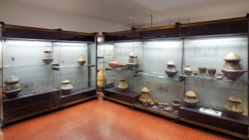 Museo Civico Archeologico e Paleoambientale "Elsa Silvestri"