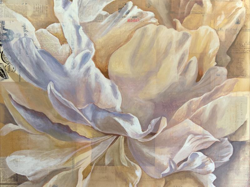 Silla Guerrini - Il fiore della vita