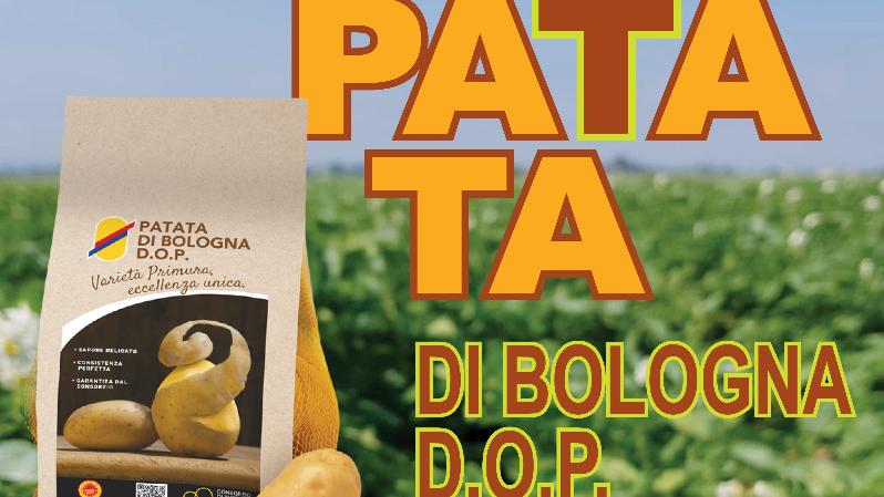 Patata di Bologna D.O.P. - Molinella