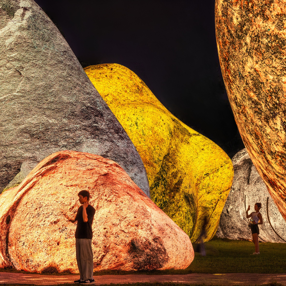 Iwagumi - ph. Finbarr Fallon