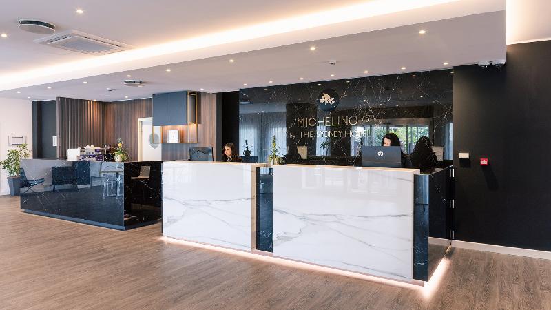 Hotel Michelino - reception