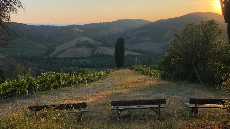 TOMISA azienda vitivinicola - cantina 