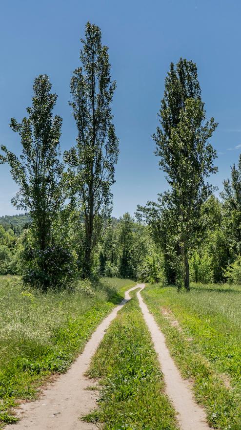Via della Lana e della Seta, Appennino 2019 ©Martino Vivai