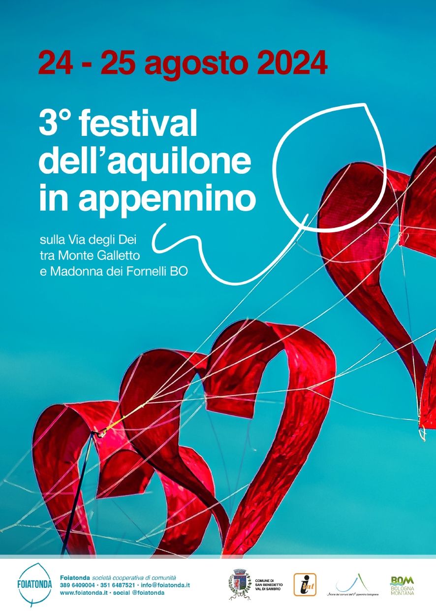 Programma Festival dell'aquilone