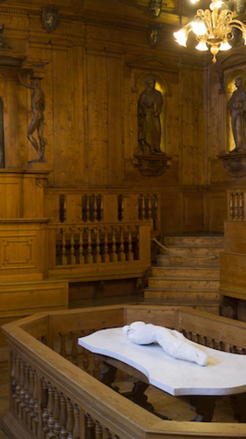 Vista del Teatro Anatomico - ©Wildlab