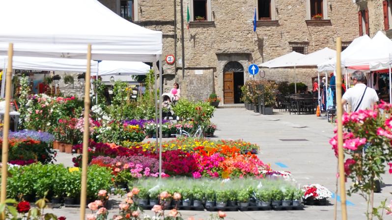 Spring Festival - Castiglione dei Pepoli Spring Festival - Castiglione dei Pepoli