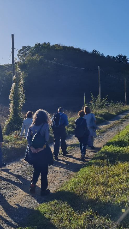 Trekking Urbano: scopri i percorsi e prenota