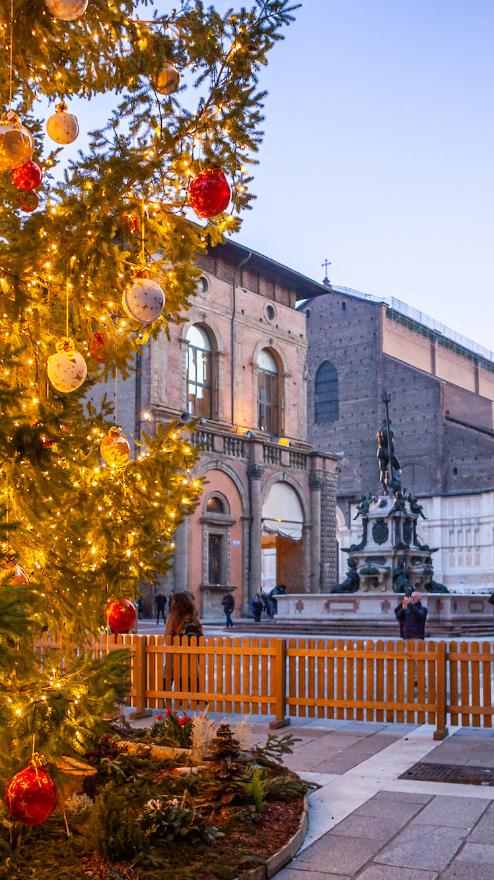 Christmas tree, Piazza del Nettuno, Bologna ©Pietrobondi