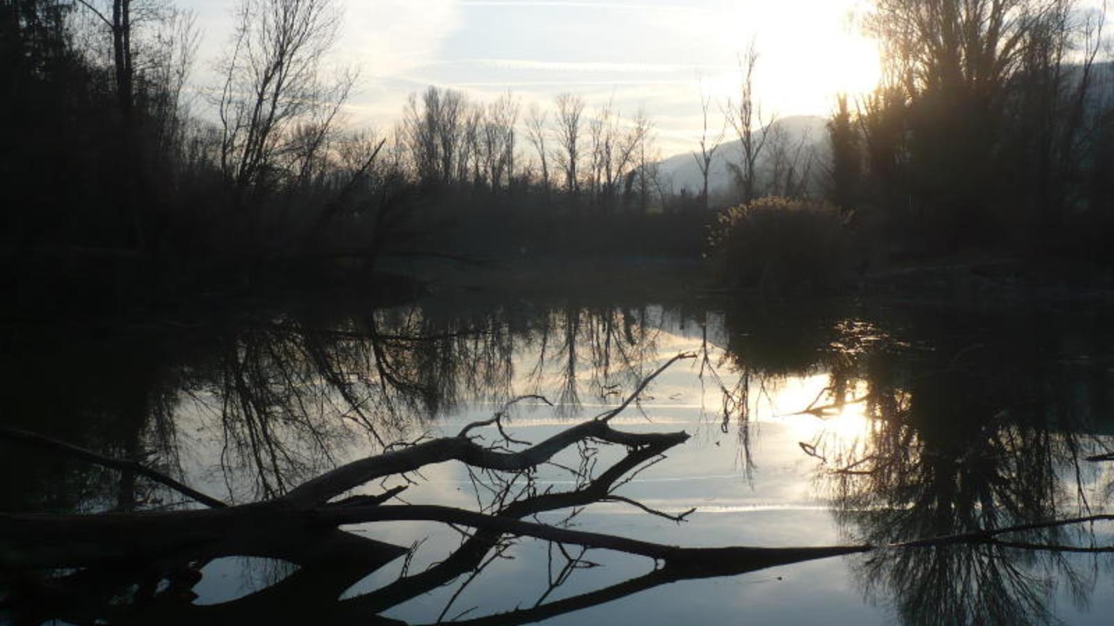 Oasi fluviale WWF Molino Grande