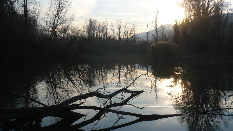 Molino Grande河世界自然基金会绿洲
