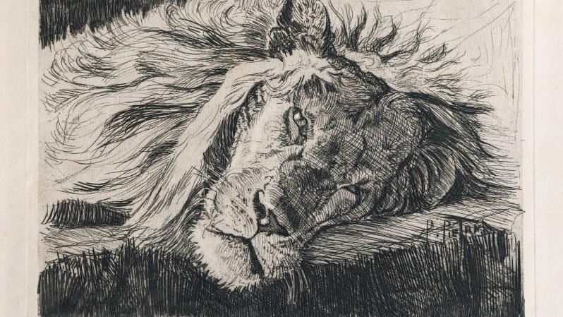 Pietro Pietra - The Power of the Line