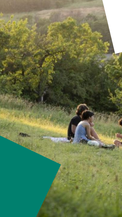 Picnic on a meadow