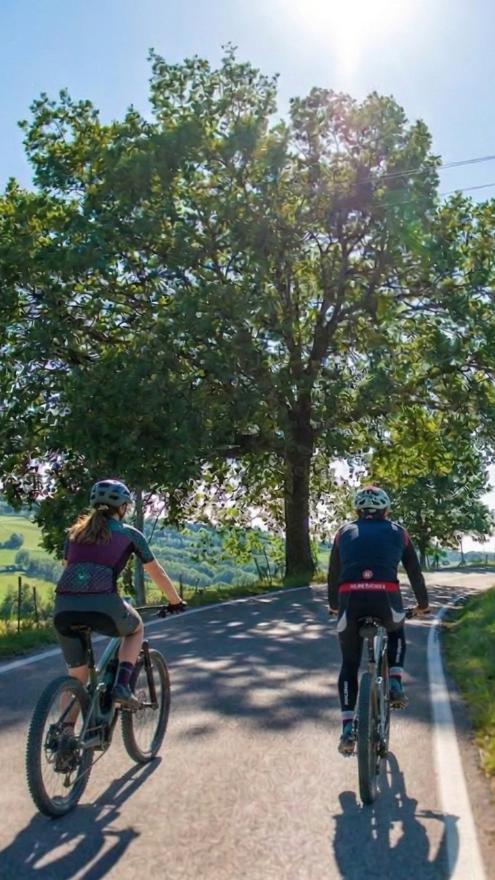 Cyclists riding ebikes on bolognese hills - generated by Google Gemini
