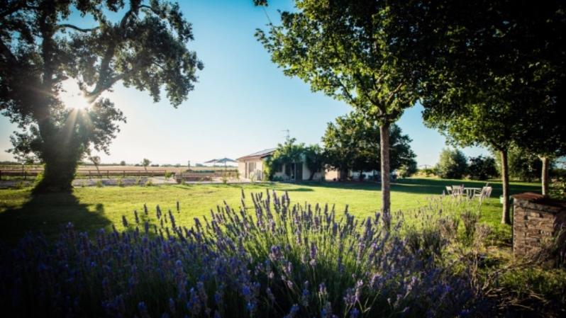 Podere Zampiera Vecchia