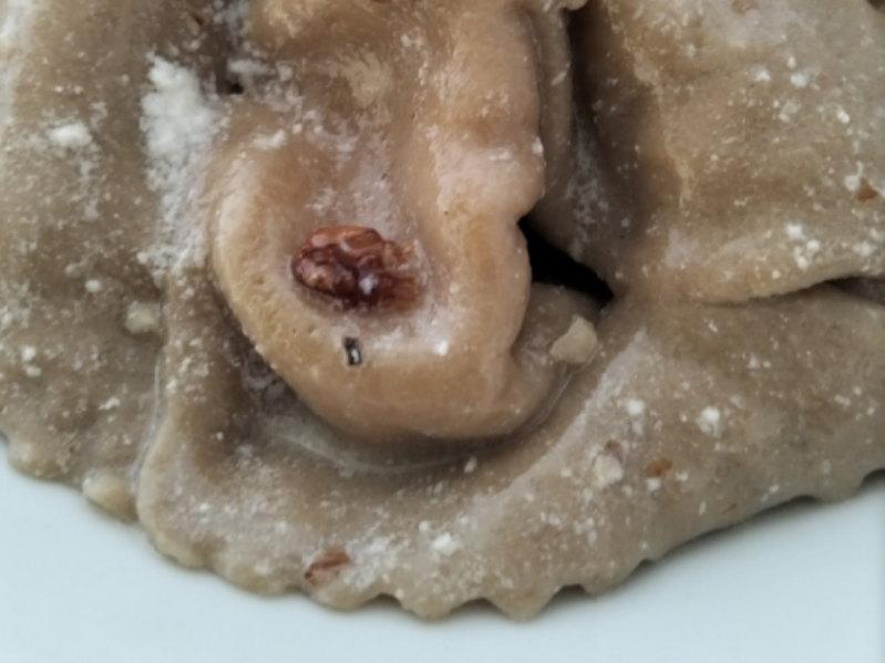 Tortellacci