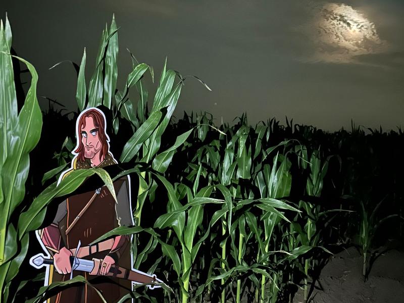 Labirinto di Mais, Medicina, Crop Circles