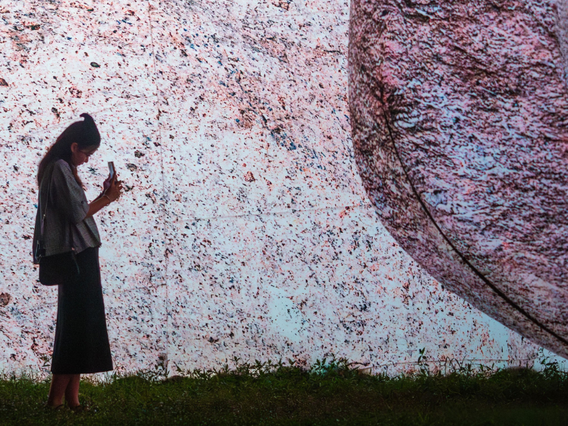 Iwagumi - ph. Finbarr Fallon