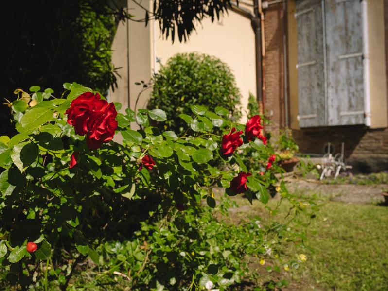 Diverdeinverde, ph: Massimiliano Donati