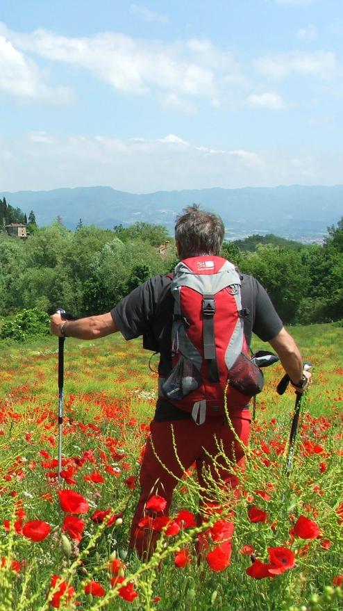 Zaino in spalla: trekking e natura