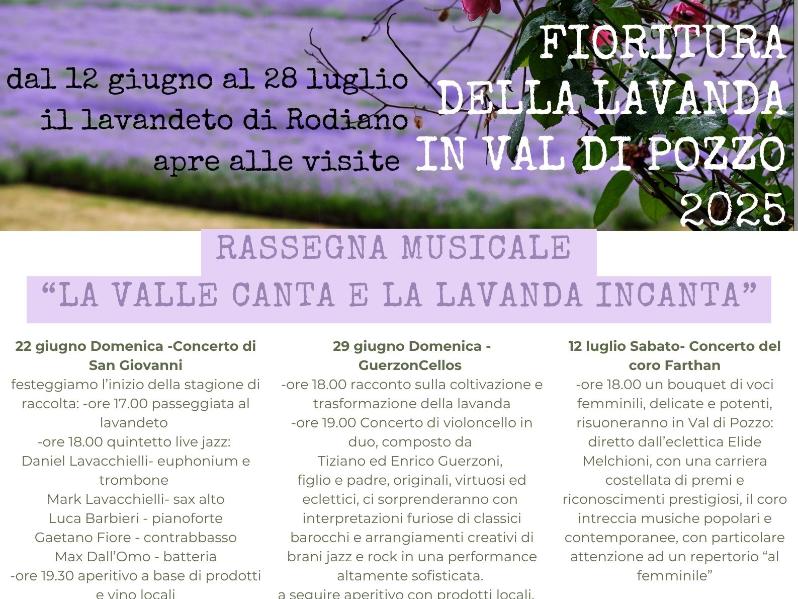 Lavandeto di Rodiano 2025