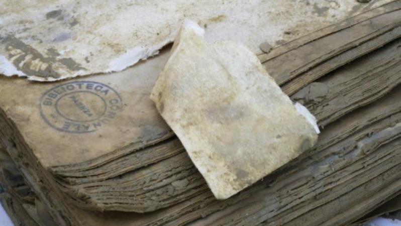 Books and mud in flooded Romagna