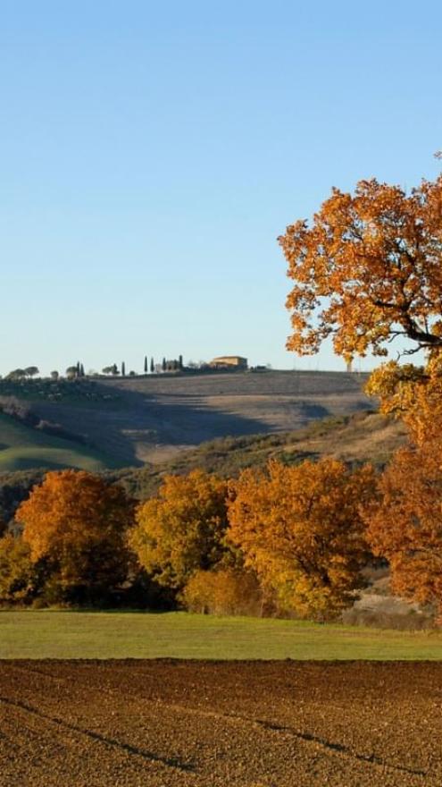 Autunno sulle colline bolognesi