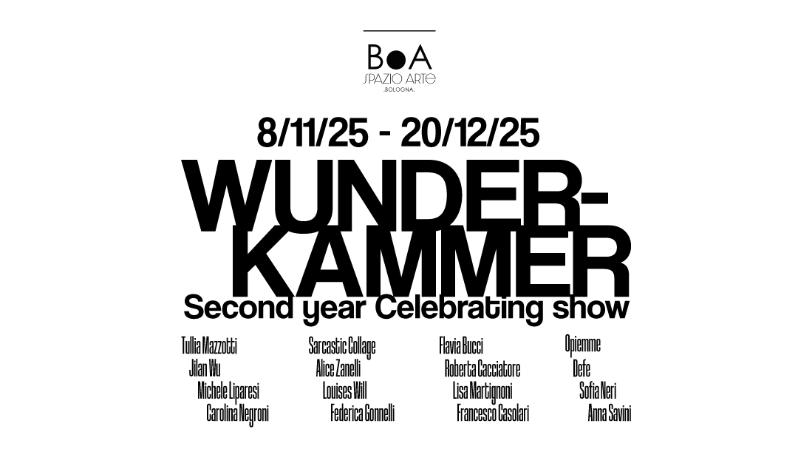 Wunderkammer: Second year Celebrating show Wunderkammer: Second year Celebrating show