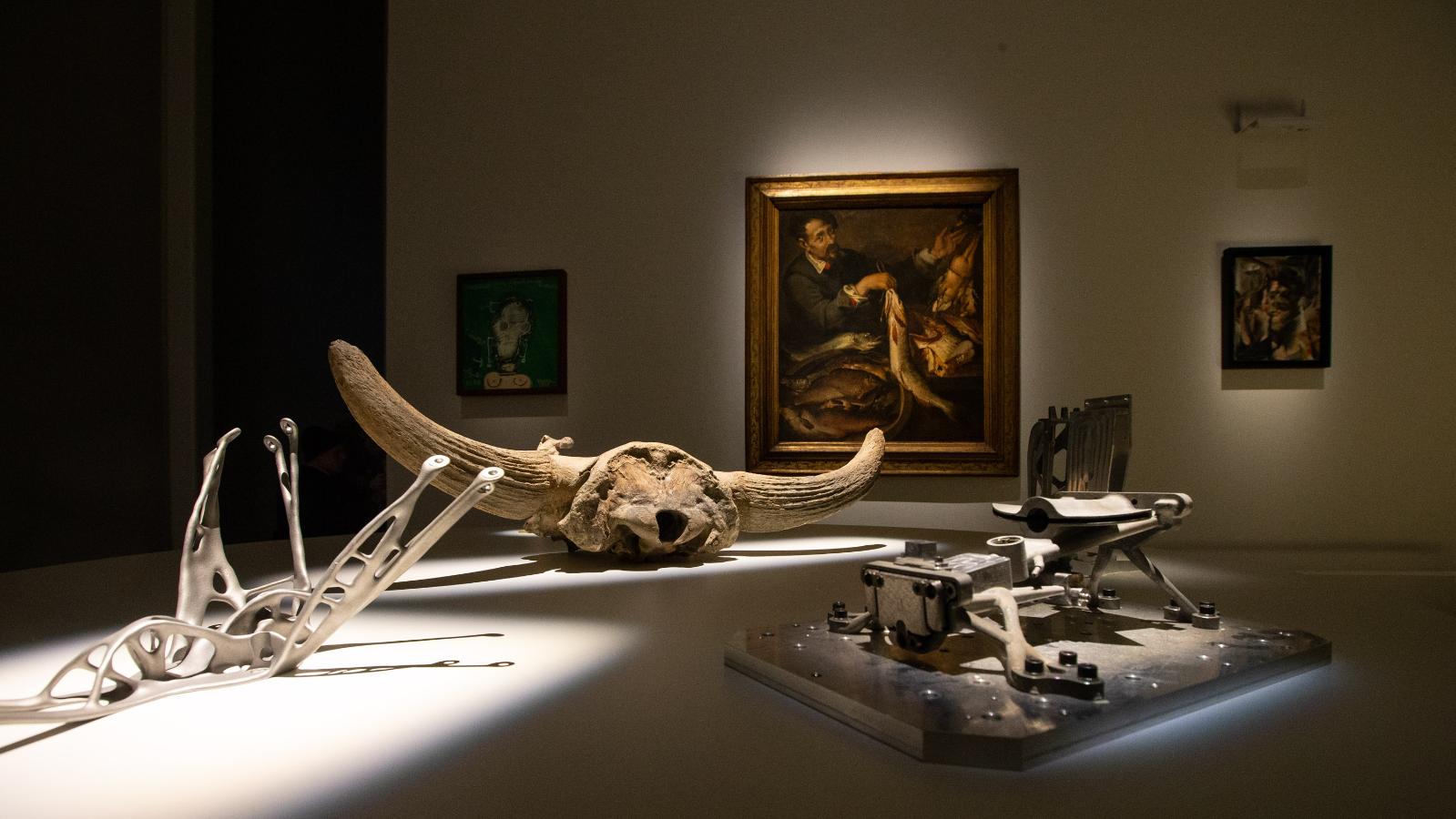 Oltre lo spazio, oltre il tempo. Il sogno di Ulisse Aldrovandi © Rodolfo Giuliani